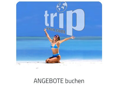 Angebote auf https://www.trip-salzburg.com suchen und buchen